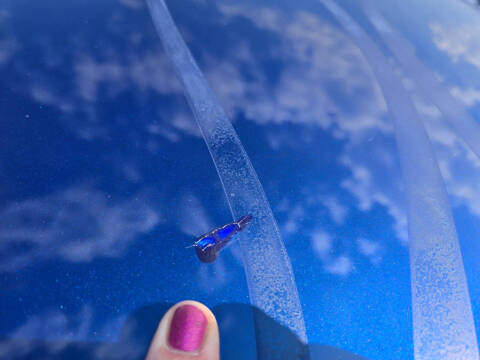 2005 Ford Mustang GT Deluxe