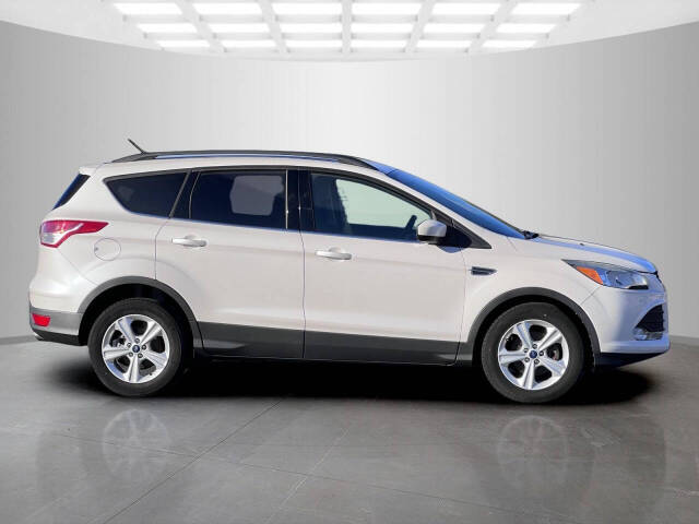 2014 Ford Escape for sale at Used Cars Toledo in Oregon, OH