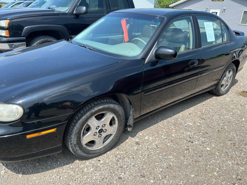 2002 Chevrolet Malibu for sale at HENDRUM AUTO SALES LLC in Hendrum MN