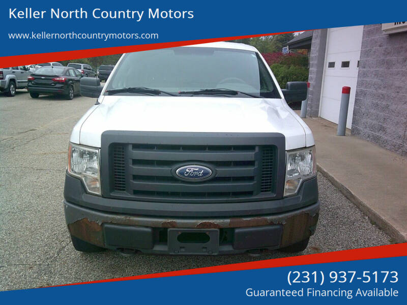 2010 Ford F-150 for sale at Keller North Country Motors in Howard City MI