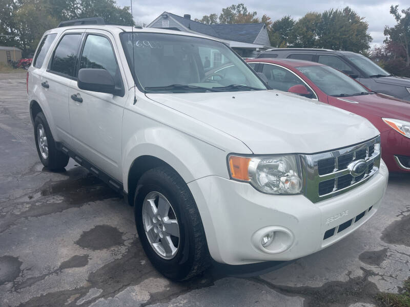 2010 Ford Escape for sale at HEDGES USED CARS in Carleton MI