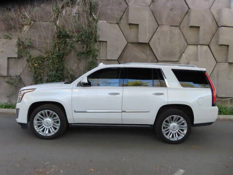 2019 Cadillac Escalade for sale at Nohr's Auto Brokers in Walnut Creek CA