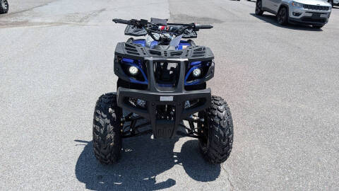 2025 TrailMaster 200 Utility