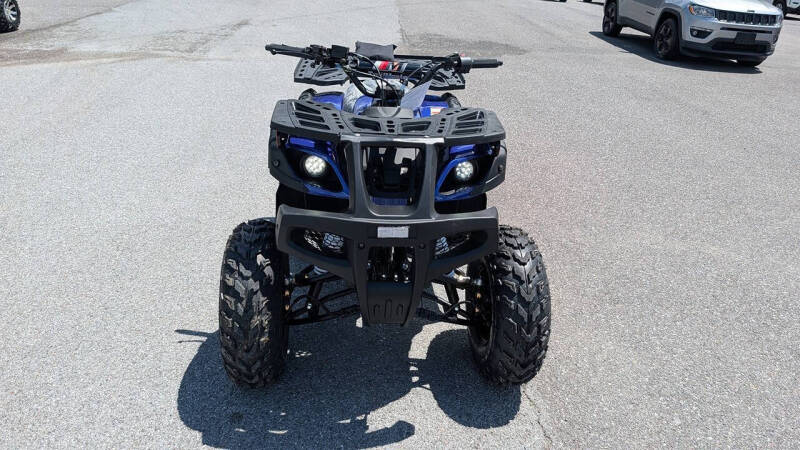 2025 TrailMaster 200 Utility