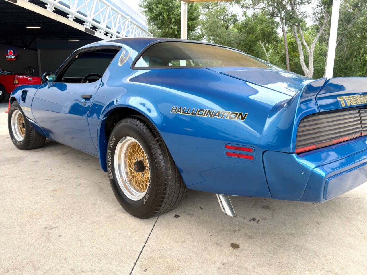 1979 Pontiac Firebird 15