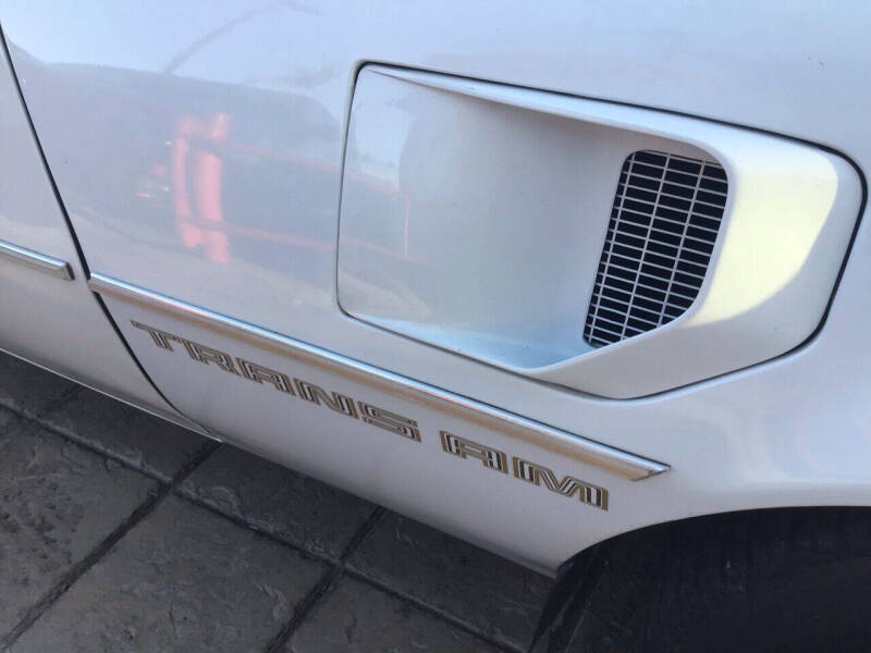 1981 Pontiac Firebird Trans Am