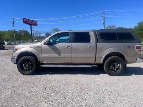 2013 Ford F-150 for sale at A&P Auto Sales in Van Buren AR