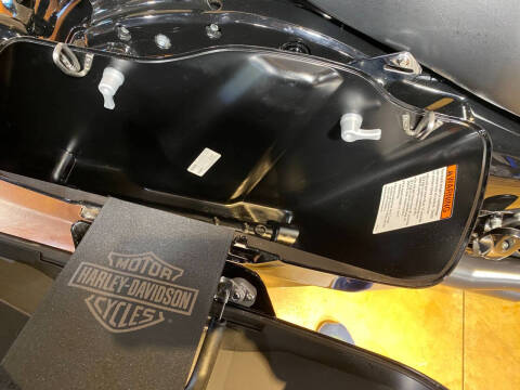 2022 Harley-Davidson Road Glide® Special