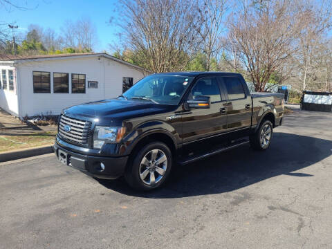 2011 Ford F-150 for sale at TR MOTORS in Gastonia NC