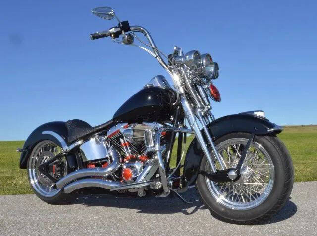 2002 Harley-Davidson FLSTS Heritage Springer
