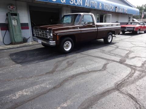 1978 Chevrolet SCOTTSDALE 10 for sale at Bill's & Son Auto/Truck, Inc. in Ravenna OH