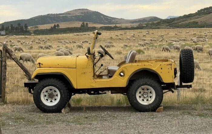 1951 Jeep CJ-5