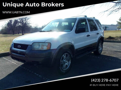 2003 Ford Escape for sale at Unique Auto Brokers in Kingsport TN