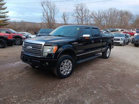 2009 Ford F-150 for sale at MICHAEL J'S AUTO SALES in Cleves OH
