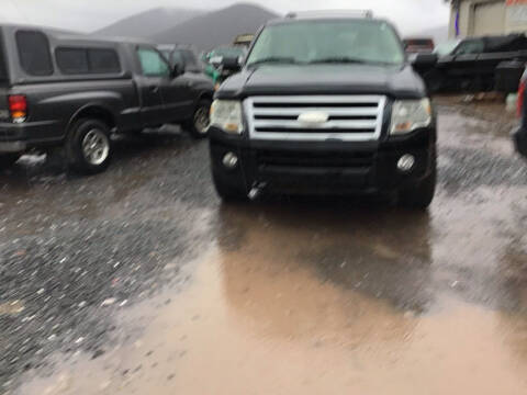 2009 Ford Expedition for sale at Troy's Auto Sales in Dornsife PA