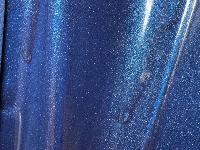 1981 Pontiac Firebird Trans Am