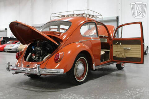 1965 Volkswagen Beetle