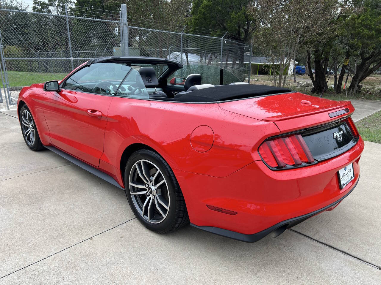 Used Car 2016 Ford Mustang  Ecoboost Premium 2dr Convertible For Sale Under $15,000 In Austin, Texas