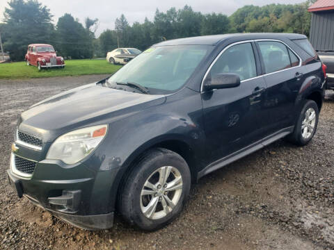 2013 Chevrolet Equinox for sale at Mike and Michelle Stolarcyk Cars and Trucks in Whitney Point NY