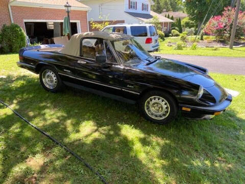 1987 Alfa Romeo Graduate Spider