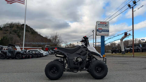 2025 TrailMaster Mini 110 Sport