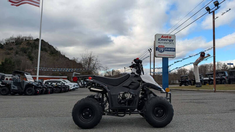 2024 TrailMaster Mini 110 Sport