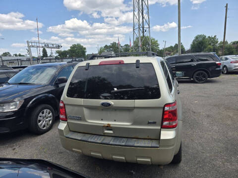 2011 Ford Escape XLT