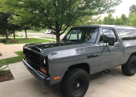 1982 Dodge Ramcharger for sale at Classic Car Deals in Cadillac MI