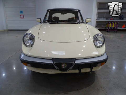 1984 Alfa Romeo Spider Veloce