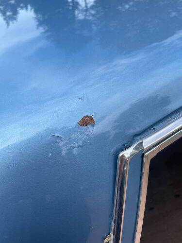 1985 Pontiac Parisienne