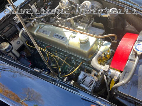 1966 Austin-Healey 3000