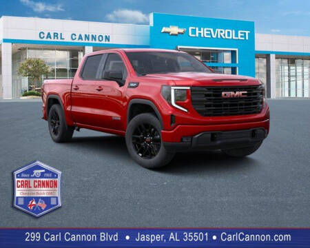 2023 GMC Sierra 1500 for sale at Carl Cannon in Jasper AL