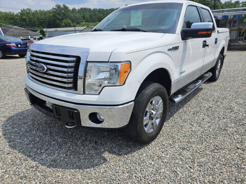 2011 Ford F-150 for sale at Daves Supreme Auto Sales LLC in Gallipolis OH