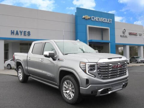2023 GMC Sierra 1500 for sale at HAYES CHEVROLET Buick GMC Cadillac Inc in Alto GA