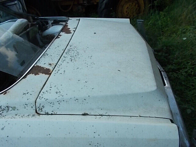 1976 Cadillac Eldorado