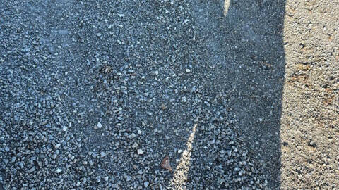 2026 Ford Transit 250