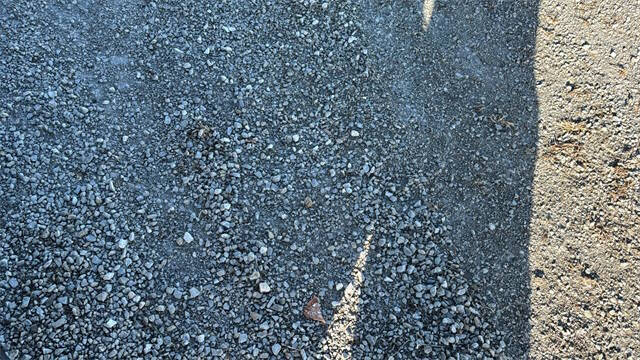 2026 Ford Transit 250