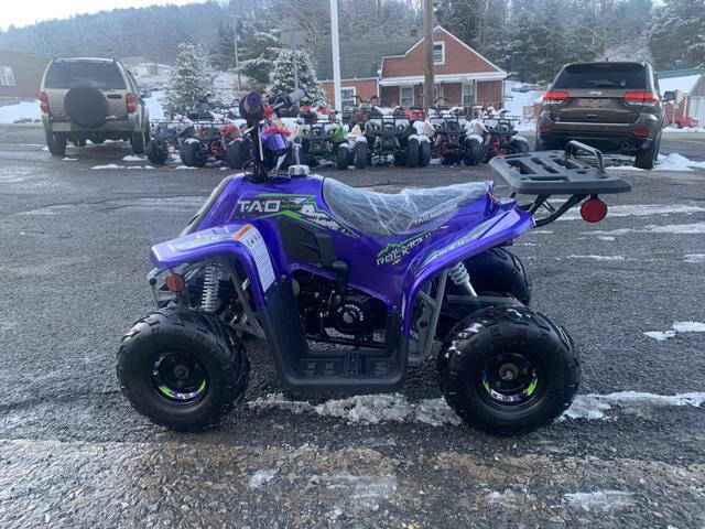 2026 Tao Motors ROCK 110