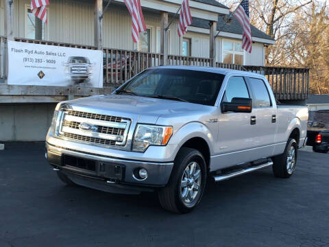 2014 Ford F-150 for sale at Flash Ryd Auto Sales in Kansas City KS