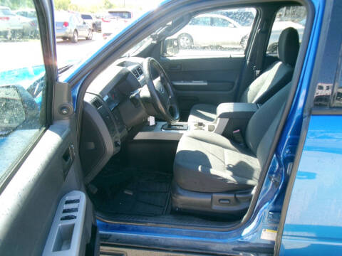 2011 Ford Escape XLT