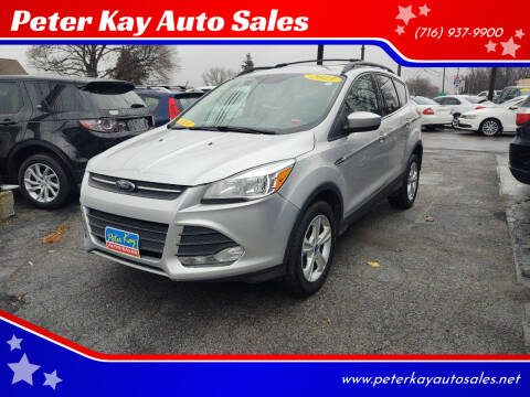 2013 Ford Escape for sale at Peter Kay Auto Sales in Alden NY