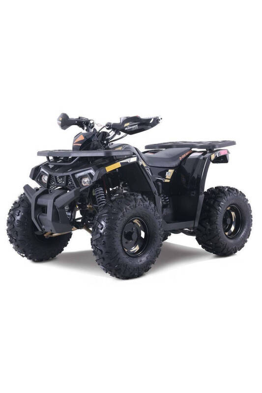 2025 Denago Mudhawk 10FI