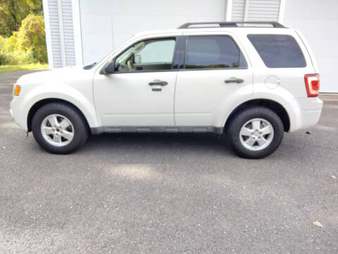 2010 Ford Escape XLT