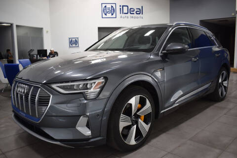 2019 Audi e-tron for sale at iDeal Auto Imports in Eden Prairie MN