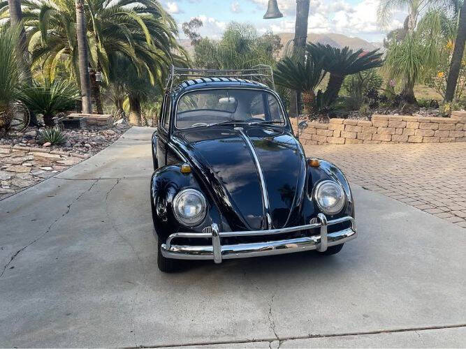 1965 Volkswagen Beetle