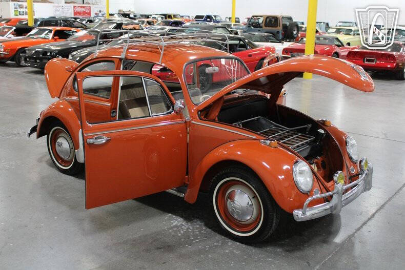 1965 Volkswagen Beetle
