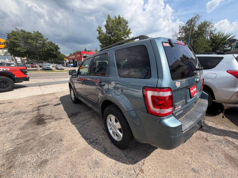 2011 Ford Escape XLT