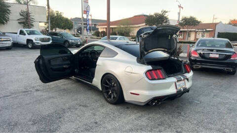 2019 Ford Mustang Shelby GT350