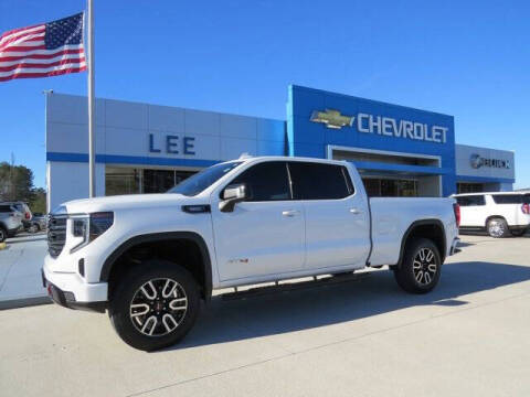 2023 GMC Sierra 1500 for sale at LEE CHEVROLET PONTIAC BUICK in Washington NC