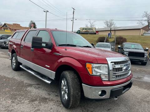 2013 Ford F-150 for sale at Ball Pre-owned Auto in Terra Alta WV